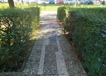 Giardino - Ufficio Via De Nicola
 
8, San Giuliano Milanese - foto 16