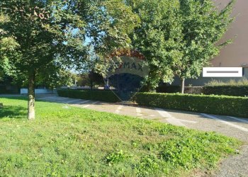 Giardino - Ufficio Via de Nicola
 
8, San Giuliano Milanese - foto 37