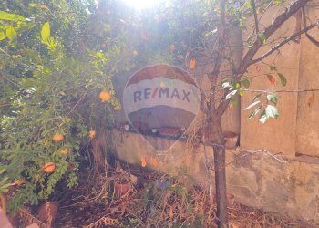 Giardino - Casa indipendente Via Delle Gemme
 
73, Catania - foto 22