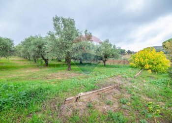 Giardino - Villa Contrada Rasalgone
 
snc, Piazza Armerina - foto 44