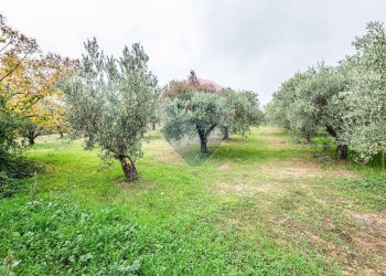Giardino - Villa Contrada Rasalgone
 
snc, Piazza Armerina - foto 46