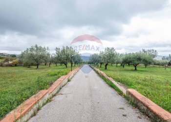 Giardino - Villa Contrada Rasalgone
 
snc, Piazza Armerina - foto 51