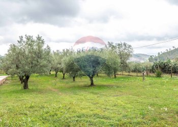 Giardino - Villa Contrada Rasalgone
 
snc, Piazza Armerina - foto 52