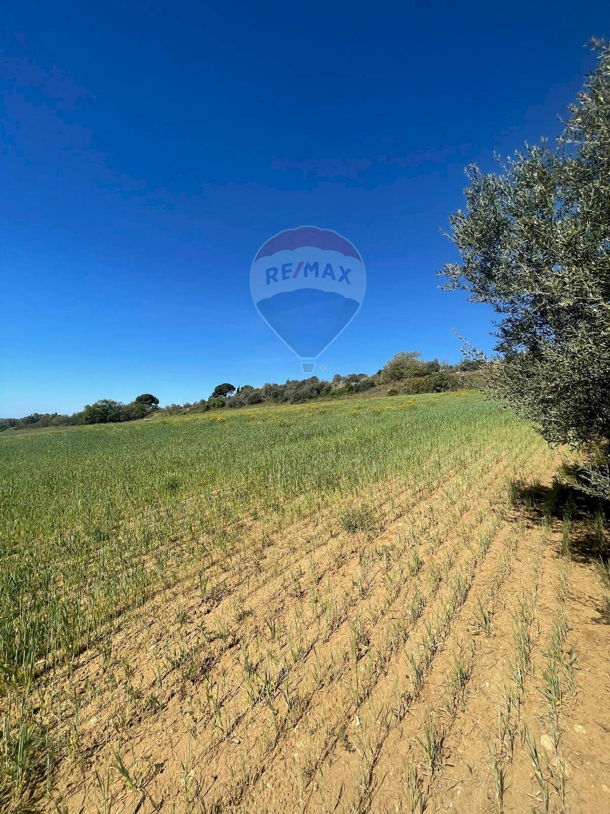 Giardino - Agricultural land via Amilcare, Caltagirone - photo 3