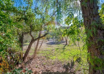 Giardino - Villa Contrada Fontana Pietra SP 37/II
 
snc, Caltagirone - foto 7