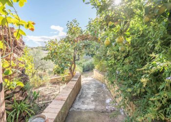 Giardino - Villa Contrada Fontana Pietra SP 37/II
 
snc, Caltagirone - foto 40