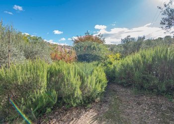 Vista delle montagne - Villa Contrada Fontana Pietra SP 37/II
 
snc, Caltagirone - foto 42