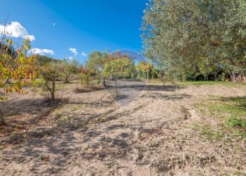 Giardino - Villa Contrada Fontana Pietra SP 37/II
 
snc, Caltagirone - foto 44