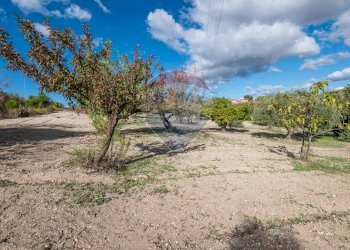Giardino - Villa Contrada Fontana Pietra SP 37/II
 
snc, Caltagirone - foto 51