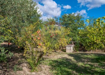Giardino - Villa Contrada Fontana Pietra SP 37/II
 
snc, Caltagirone - foto 57