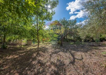 Giardino - Villa Contrada Fontana Pietra SP 37/II
 
snc, Caltagirone - foto 59