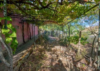 Giardino - Villa Contrada Fontana Pietra SP 37/II
 
snc, Caltagirone - foto 60