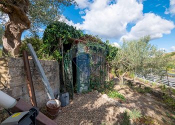 Giardino - Villa Contrada Fontana Pietra SP 37/II
 
snc, Caltagirone - foto 64
