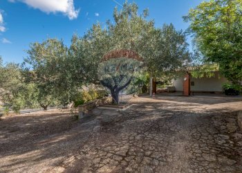 Giardino - Villa Contrada Fontana Pietra SP 37/II
 
snc, Caltagirone - foto 66