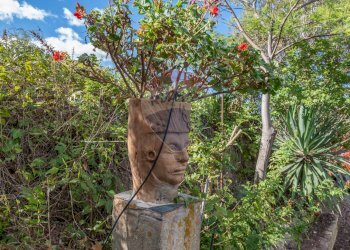 Giardino - Villa Contrada Fontana Pietra SP 37/II
 
snc, Caltagirone - foto 77