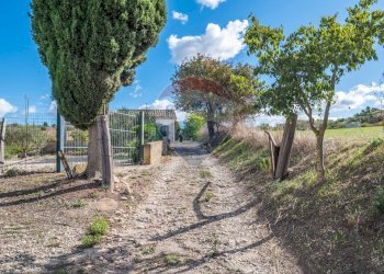 Giardino - Villa Contrada Fontana Pietra SP 37/II
 
snc, Caltagirone - foto 78