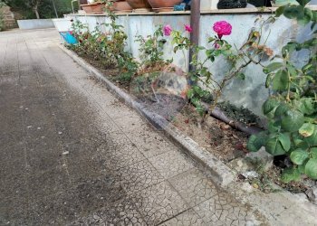 Giardino - Villa contrada fratulla, Piazza Armerina - foto 7