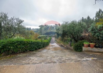 Giardino - Villa contrada fratulla, Piazza Armerina - foto 36