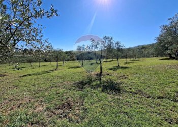 Giardino - Terreno agricolo Loppiano località Il Casalino
 
snc, Figline e Incisa Valdarno - foto 1