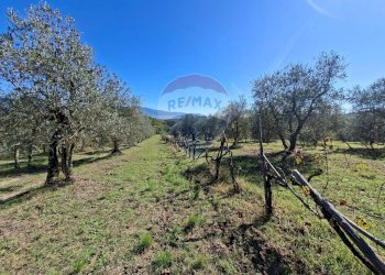 Vista delle montagne - Terreno agricolo Loppiano località Il Casalino
 
snc, Figline e Incisa Valdarno - foto 3