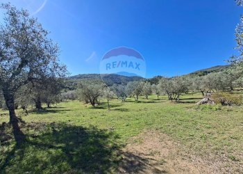 Vista delle montagne - Terreno agricolo Loppiano località Il Casalino
 
snc, Figline e Incisa Valdarno - foto 6