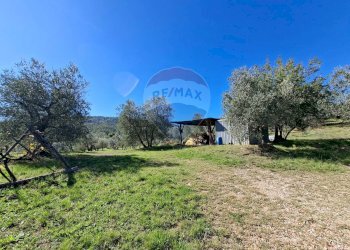 Giardino - Terreno agricolo Loppiano località Il Casalino
 
snc, Figline e Incisa Valdarno - foto 7