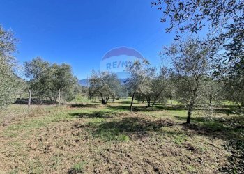 Giardino - Terreno agricolo Loppiano località Il Casalino
 
snc, Figline e Incisa Valdarno - foto 13