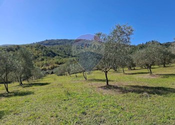 Vista delle montagne - Terreno agricolo Loppiano località Il Casalino
 
snc, Figline e Incisa Valdarno - foto 14