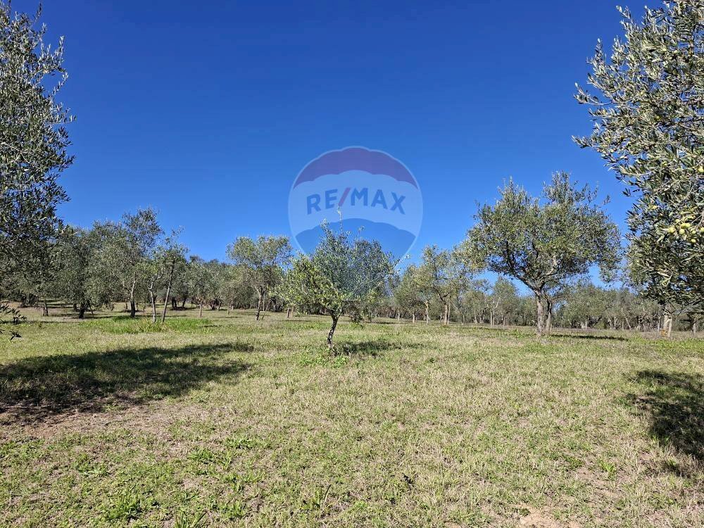 Giardino - Terreno agricolo Località il Casalino loppiano
 
snc, Figline e Incisa Valdarno - foto 3