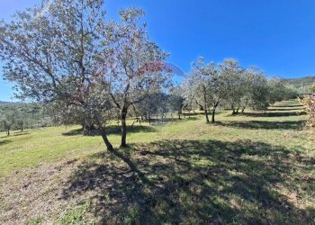 Giardino - Terreno agricolo Località il Casalino loppiano
 
snc, Figline e Incisa Valdarno - foto 6