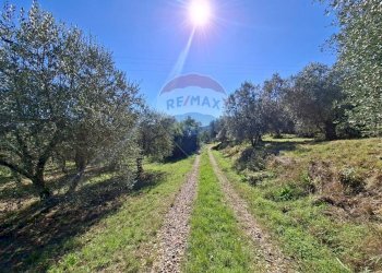 Giardino - Terreno agricolo Località il Casalino loppiano
 
snc, Figline e Incisa Valdarno - foto 11