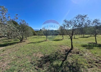 Giardino - Terreno agricolo Località il Casalino loppiano
 
snc, Figline e Incisa Valdarno - foto 13
