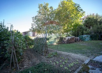 Giardino - Appartamento Via Ugo la Malfa, Cupramontana - foto 20