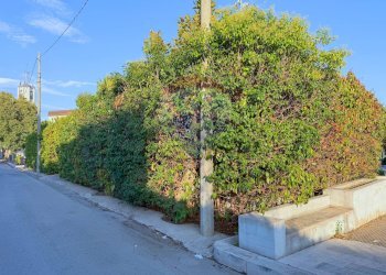 Giardino - Attività Commerciale Via S.Maria di Siponto
 
10, Manfredonia - foto 23