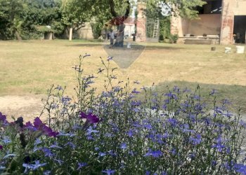 Giardino - Rustico via brambilla
 
2, San Zenone al Po - foto 5