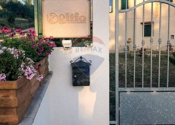 Edificio all\'aperto - Casa indipendente c.da Fontana dell'olmo
 
sn, Fontanarosa - foto 3