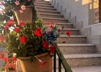 Scale - Casa indipendente c.da Fontana dell'olmo
 
sn, Fontanarosa - foto 9