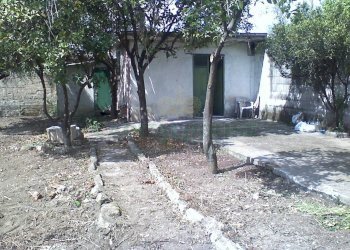 Foto 1 - One-room apartment Portico di Caserta - photo 1