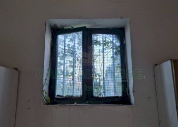 Foto 7 - One-room apartment Portico di Caserta - photo 7