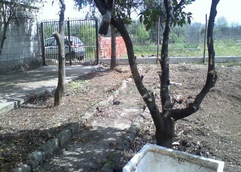 Foto 10 - One-room apartment Portico di Caserta - photo 10