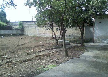 Foto 13 - One-room apartment Portico di Caserta - photo 13