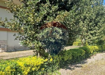 Giardino - Villa Spigno Saturnia - foto 50