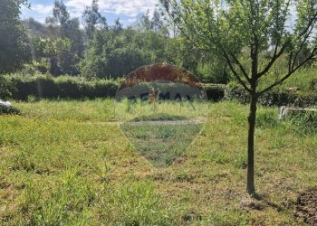 Giardino - Villa Spigno Saturnia - foto 63