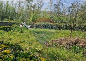 Giardino - Villa Spigno Saturnia - foto 71