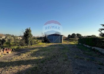 Giardino - Locale Commerciale Via Gelso Rosso, Minturno - foto 4