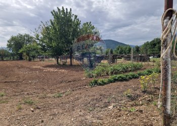 Giardino - Villa Pratola Peligna - foto 86