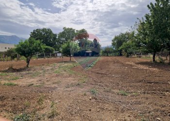 Giardino - Villa Pratola Peligna - foto 87