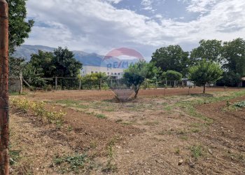 Giardino - Villa Pratola Peligna - foto 88