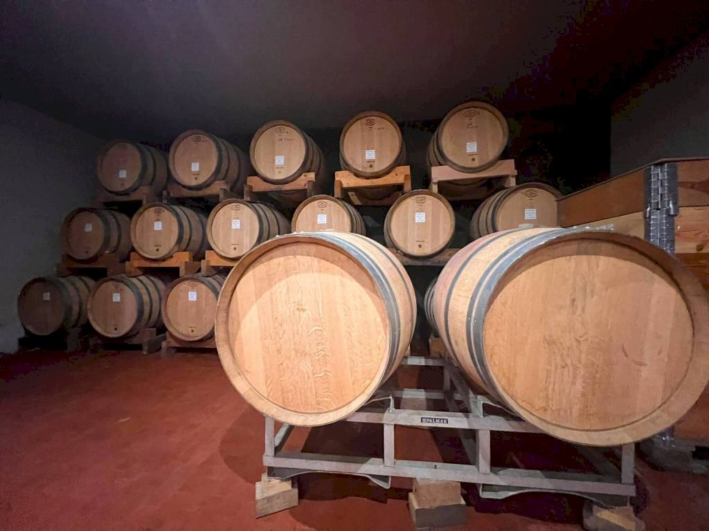 Altro - Commercial Activity piazza Roma, Cortandone - photo 2