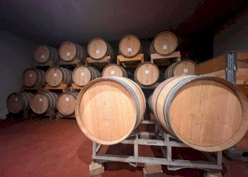 Altro - Attività Commerciale piazza Roma, Cortandone - foto 2